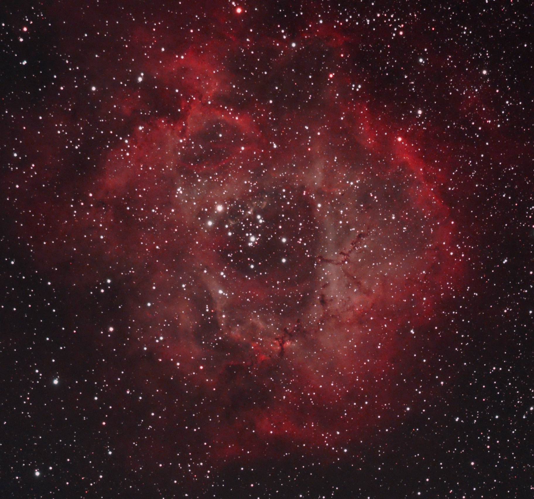 NGC2237_160414_Cheneroilles_Patrice_Renaut.jpg